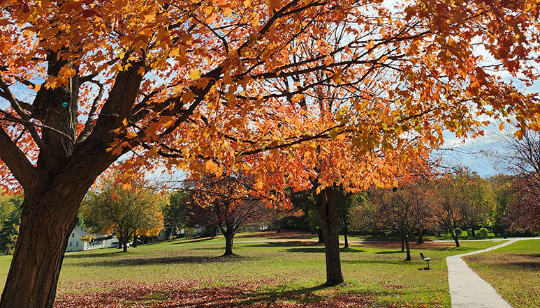 park in fall