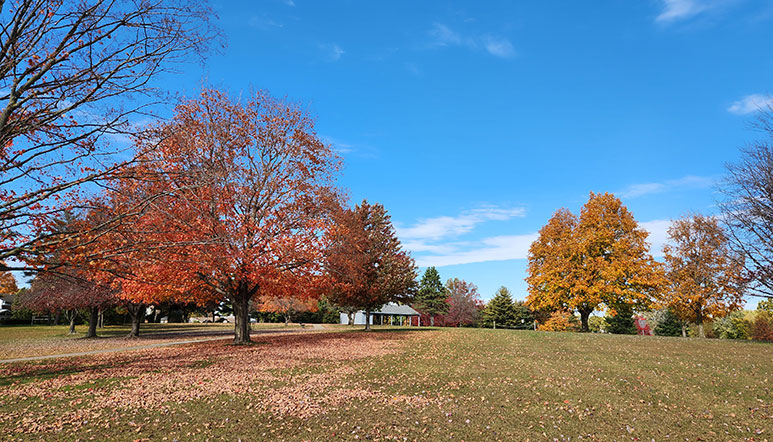 park in fall